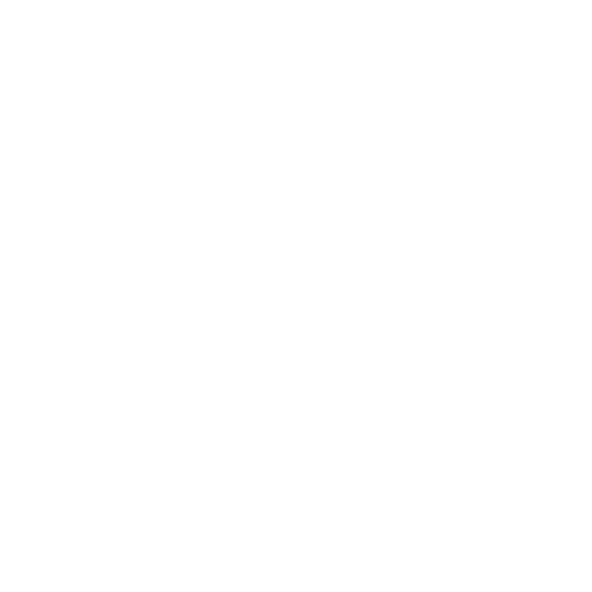 Soccerboon Logo Weiß sehr groß